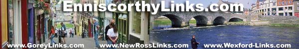 Enniscorthy links -  Co. Wexford Ireland